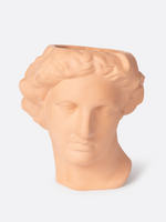 Apollo Vase in Terracotta