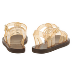 Homeria Jelly in Clear Caramel
