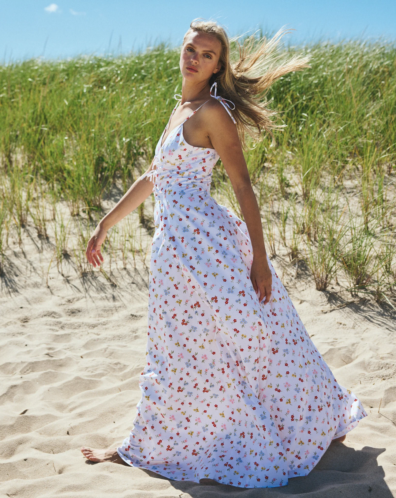 Gwyneth Dress in Dutch Floral