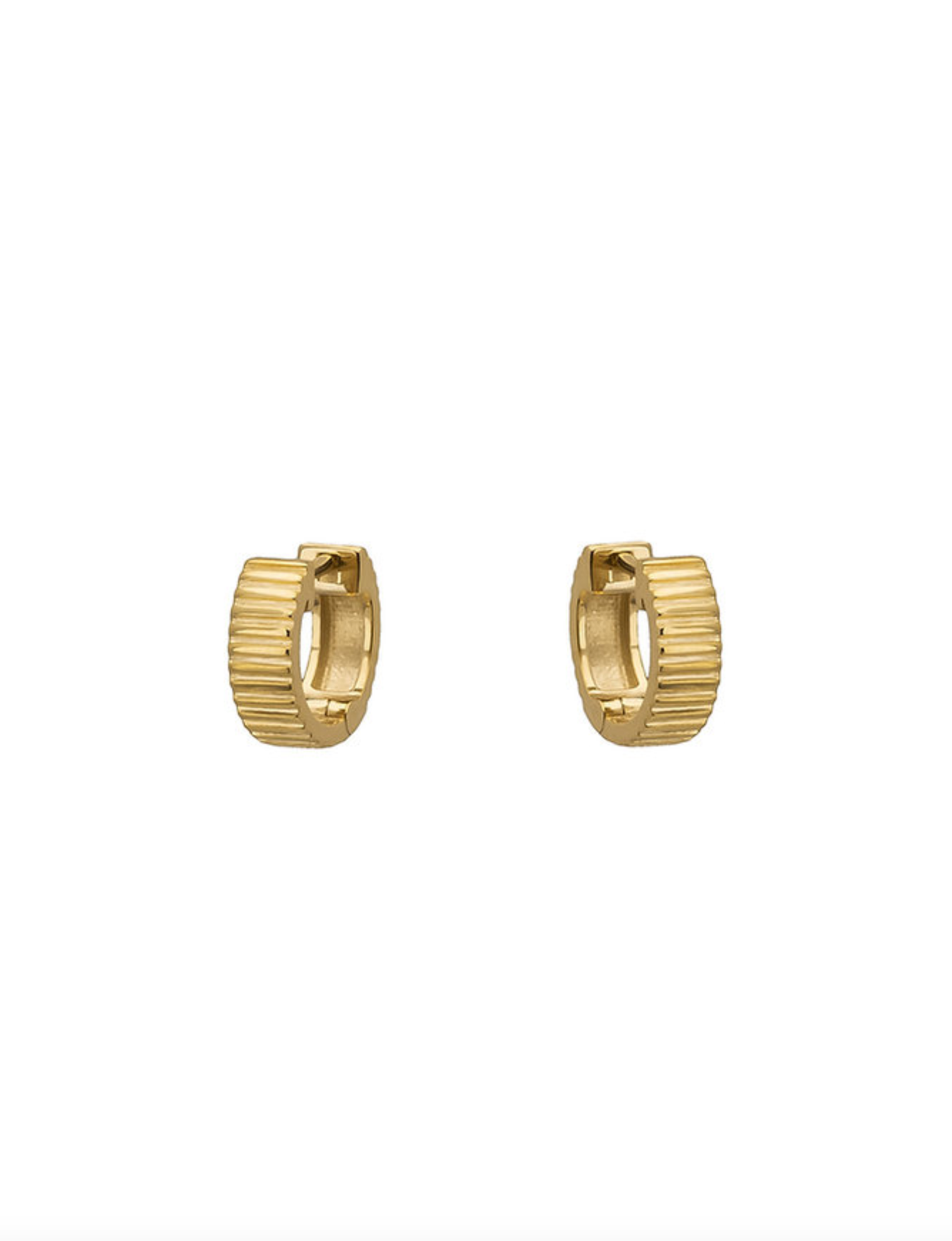 Small Hoop Kion Earrings