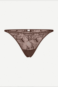 Sauudrey Brief in French Roast