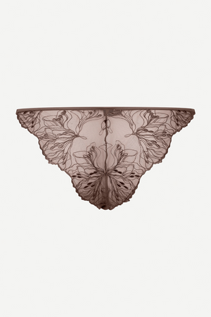 Sauudrey Brief in French Roast