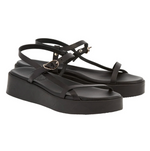 Politia black