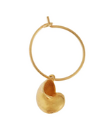 Nautilus Shell Mini Hoops