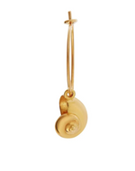Nautilus Shell Mini Hoops